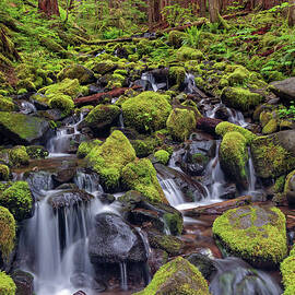 Small Stream Cascading Through Moss by Adam Jones