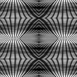 Snow Shadows - Abstract mirrored shadow pattern cast by deck railing on fresh snow at night by Peter Herman