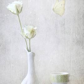 Soft White Petals by Delphine Devos