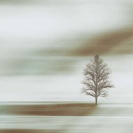 Solitude by Marcus Hennen