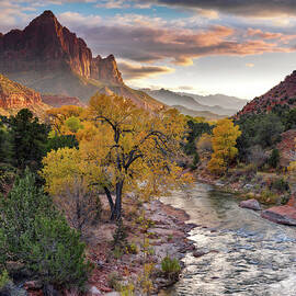 Southwest Light along the Virgin River by Leland D Howard