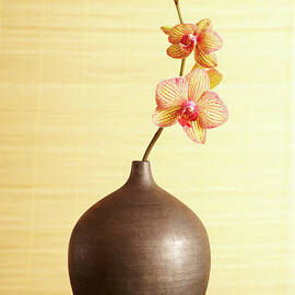 Spa Still Life Of Orchid Flower In Vase by Gspictures
