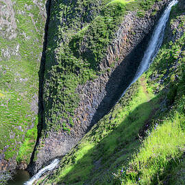 Spring Cascade At Table Mountain by Frank Wilson