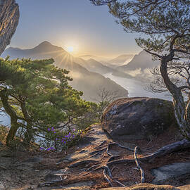 Spring, Elements Of Life by Jaeyoun Ryu