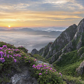 Spring In The Valley Of Wolchulsan by Jaeyoun Ryu