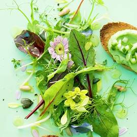 Spring Salad With Avocado And Cucumber Crostini by Michael Wissing