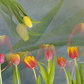 Spring Time by Greetje Van Son