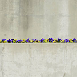 Springtime Minimal by Stuart Allen