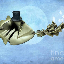 Star Fish by Juli Scalzi