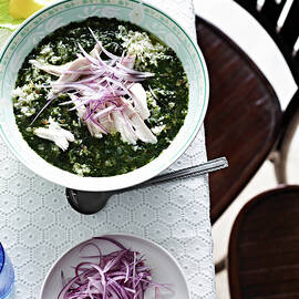 Still Life With Bowl Of Chicken Soup With Sliced Red Onion Garnish by Brett Stevens
