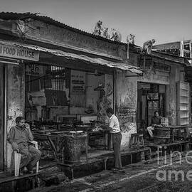 Street Monkeys Sitting On Roof by Stefano Senise