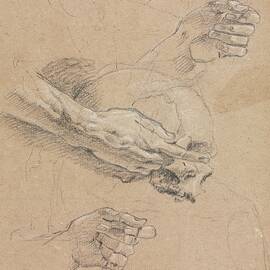 Study Of Hands And Skull