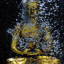 Submereged Buddha by Don Champlin