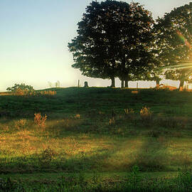 Sunrise Through Trees In Farm Field by Matt Champlin