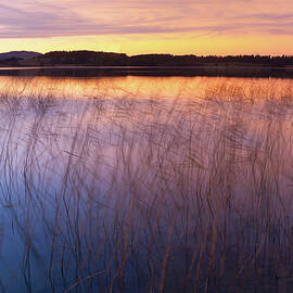 Sunset At Lake Bannwaldsee In Bavaria - by Wingmar