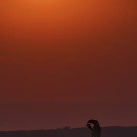 Sunset Bathing by Henry Zhao