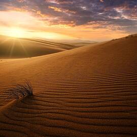 Sunset In The Arab Sands by Saleem G Alfidi