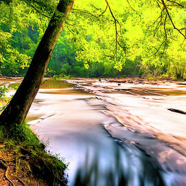 Sweetwater Creek - Georgia Landscape by Mark Tisdale