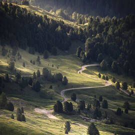 Tale Of The Winding Path by Avishek Patra