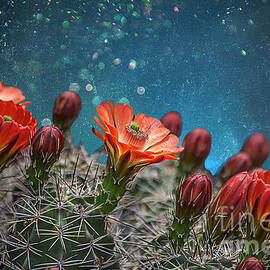 Teal Spring in the Desert by Elisabeth Lucas
