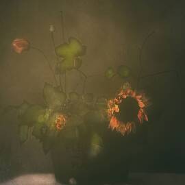 Tears Of Sunflower by Delphine Devos