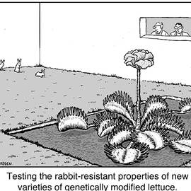Testing The Rabbit-resistant Properties Of New Strains by Chris Madden
