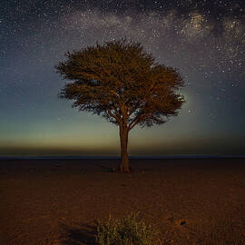 The Bush, The Tree And The Milky Way by Francisco Crusat