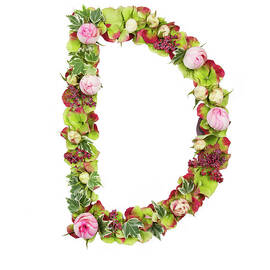 The Capital Letter D by Photostock-israel