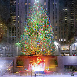 The Christmas Tree at Rockefeller Center