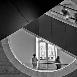 The Circle Of Life by Luca Bonisolli