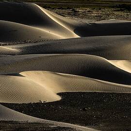 The Dunes At Sunset .. Nubra Valley by Shobhit Chawla