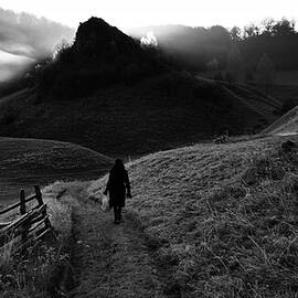 The Gate by Julien Oncete