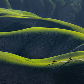 The Grassland Of Human Body Curves by Su Pengting