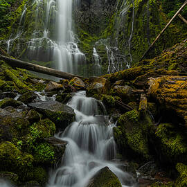 The Hills Have Eyes by Tanumoy Ghosh