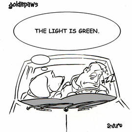 The Light Is Green by Sneuro