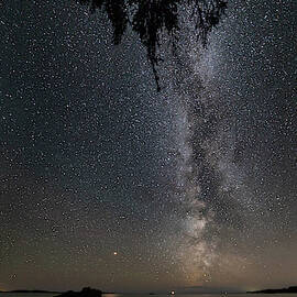 The Lion and the light of Mars vertical panorama by Jakub Sisak