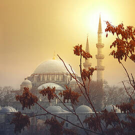 The Magnificent\'s Dream by Paschalis Bartzoudis