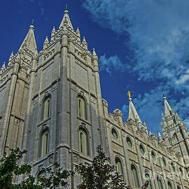 The Mormon Temple by Stephen Whalen