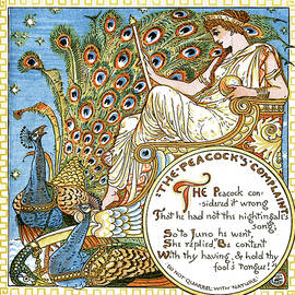 The Peacock's Complaint by Walter Crane