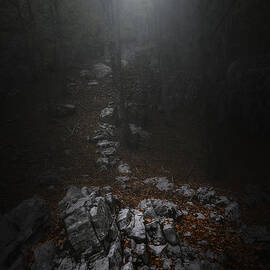 The Petrified Guardian by Filippo Manini