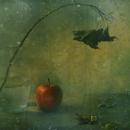 The Red Apple by Delphine Devos