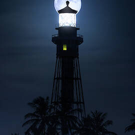 The Secret of Lighthouse Island - Vertical Format  by Mark Andrew Thomas