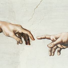 The Sistine Chapel, ceiling frescos after restoration. The creation of Adam. by Michelangelo -1475-1564-