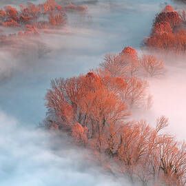 The Soul Of The River by Stefano Oppioni
