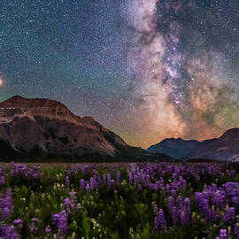 The Summer Milky Way And Mars by Alan Dyer