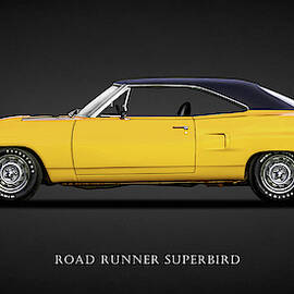 The Superbird by Mark Rogan