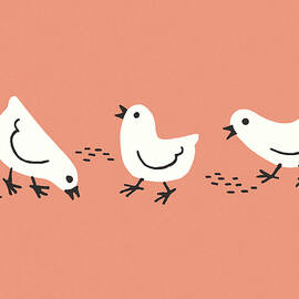 Three Chicks by CSA Images