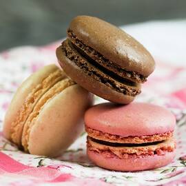 Three Macaroons: Chocolate, Vanilla And Raspberry close-up by Cath Lowe
