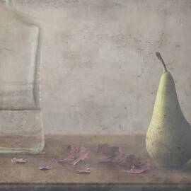 Time Flies...so Fast by Delphine Devos