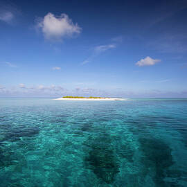Tiny Deserted Island And Coral Reef In by Justin Lewis